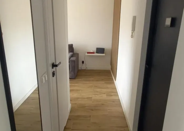 7 Pietro ヴァウブジフ