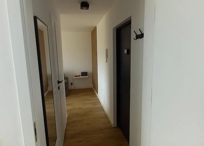 7 Pietro * ヴァウブジフ